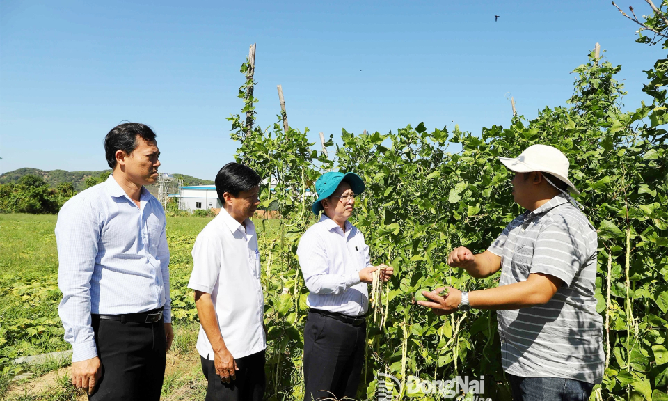 Sẵn sàng cho vụ sản xuất mới