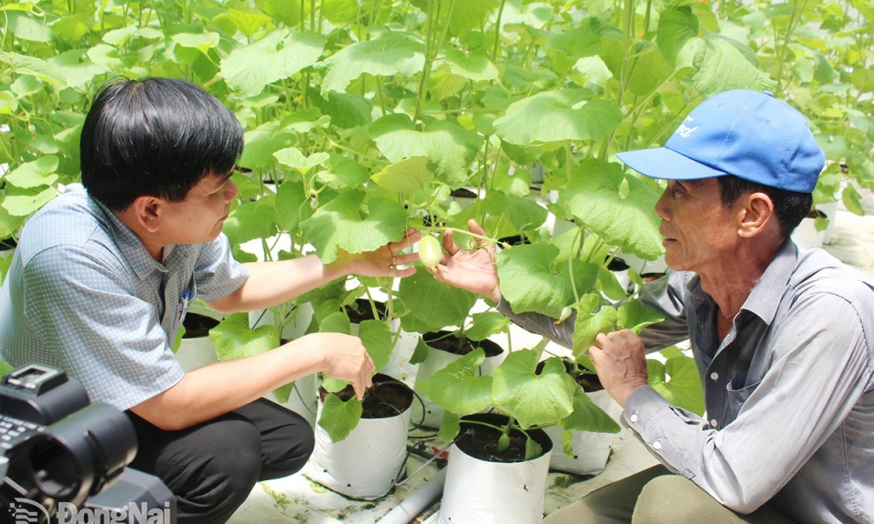 Đak Lua xa mà gần
