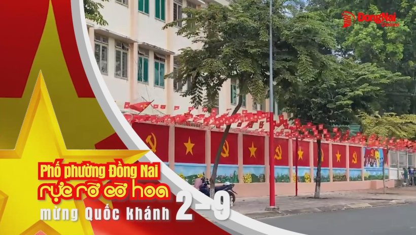Phố phường Đồng Nai rực rỡ cờ hoa mừng Quốc khánh 2-9