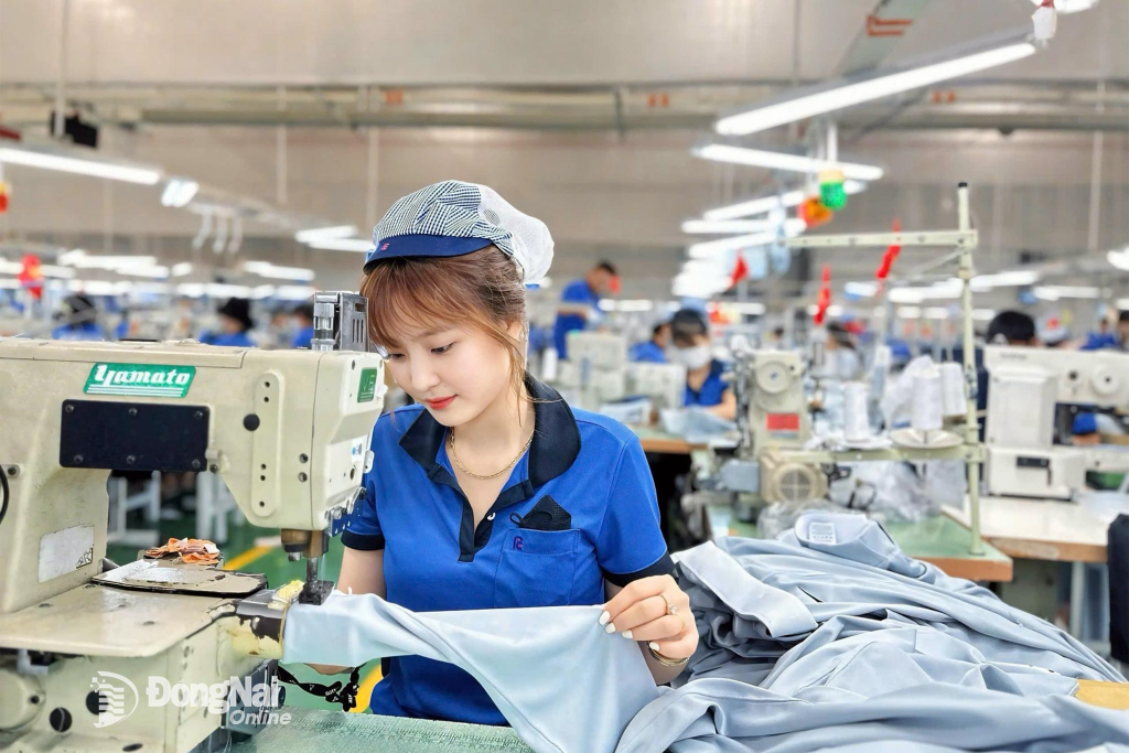 Khắp nơi trong trong tỉnh ngày 5-9-2025